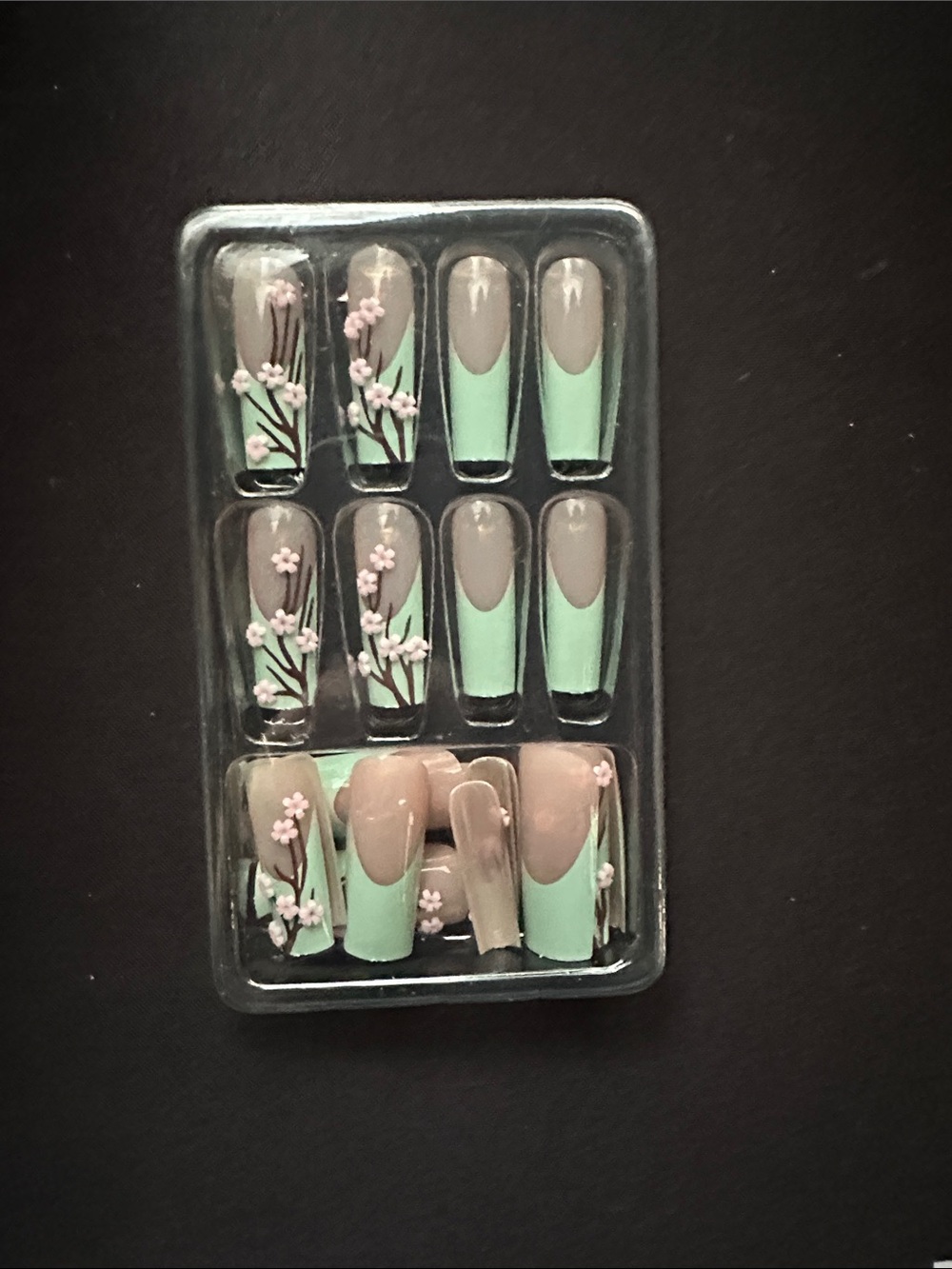 Blue with Pink Flower Nail Set
